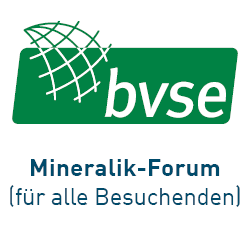 Logo bvse